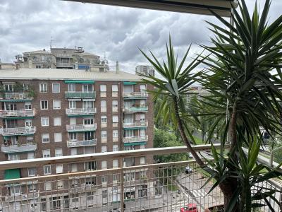  - Vista